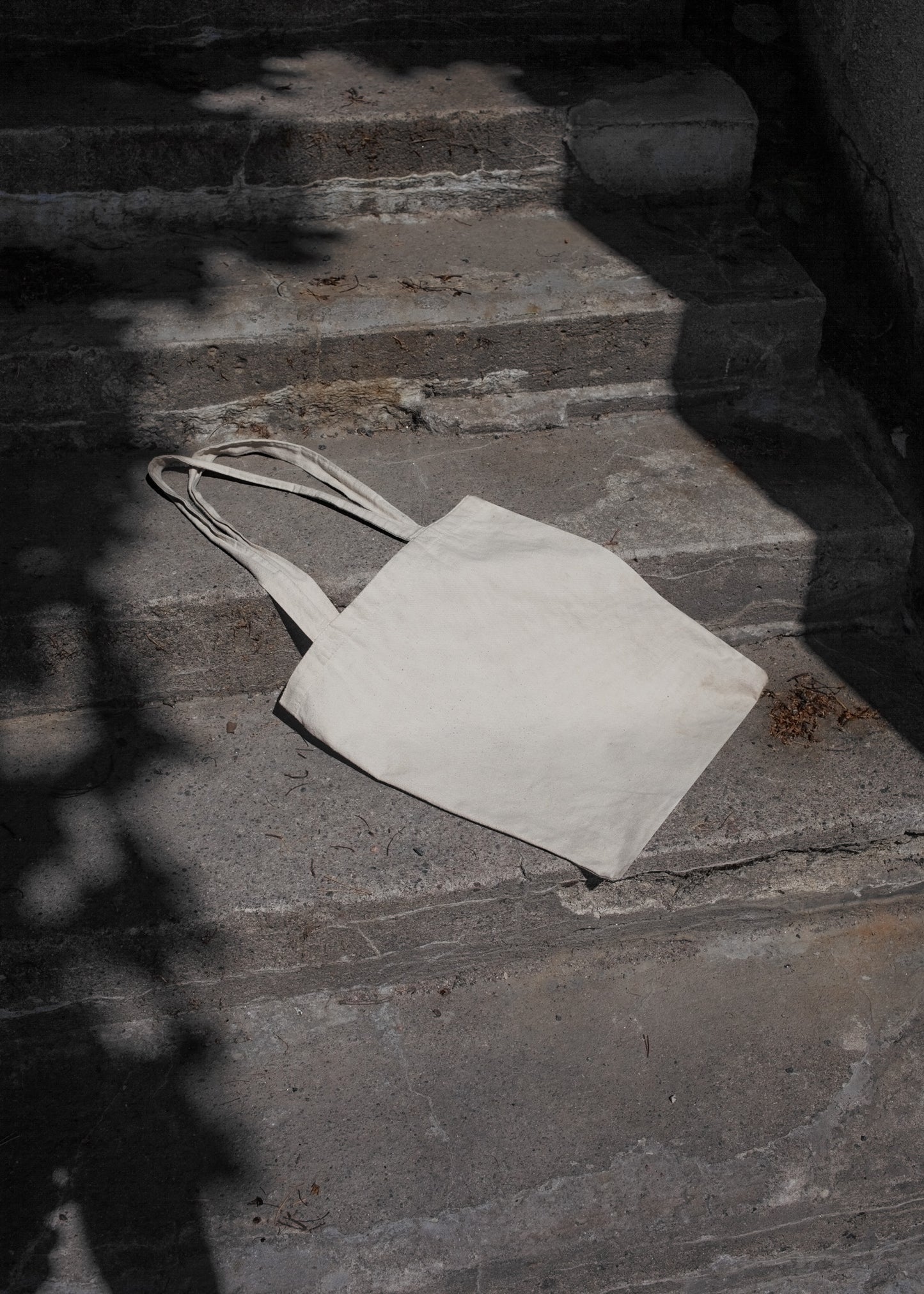 NJRDM-TOTE-001