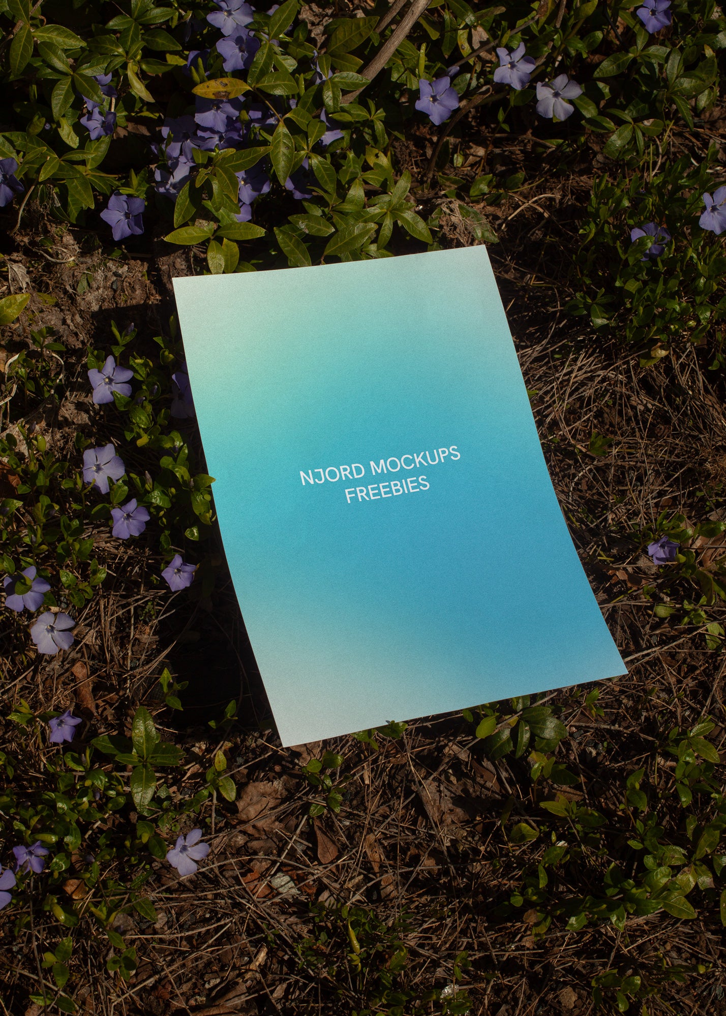 FREE MOCKUPS - COMING SOON